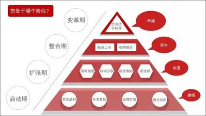 数字化赋能 软件开发如何助力连锁品牌标准化管理效率提升